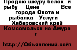 Продаю шкуру белок  и рыбу  › Цена ­ 1 500 - Все города Охота и рыбалка » Услуги   . Хабаровский край,Комсомольск-на-Амуре г.